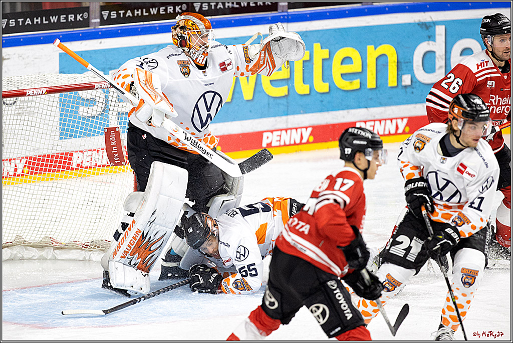 PENNY DEL;  Kölner Haie - Grizzly Wolfsburg; Köln, 26.10.2022